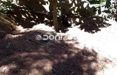 Imagem 14: Chácara com 3 quartos à venda, 370m² - Cidade Recreio da Borda do Campo