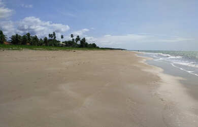 Imagem: A casa possui 4 Dormitórios e 2 Vagas na garagem e está localizado