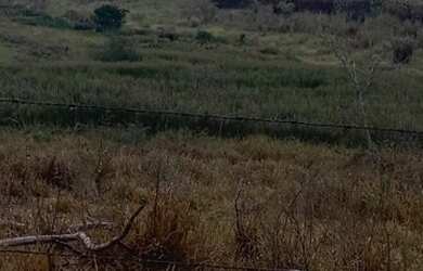 Imagem 10: Fazenda 2.195 Hectares. 