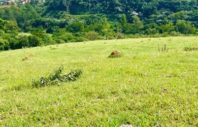 Imagem 1: 32R-Lote/Terreno para venda possui 500 metros quadrados em Jardim Brasil...