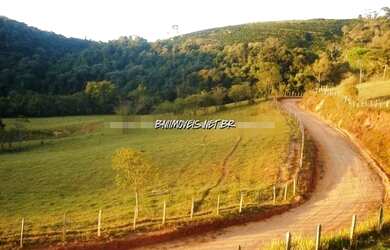 Imagem 15: Fazenda à venda 4 Quartos, 800M², Monsenhor Paulo, Monsenhor Paulo -...