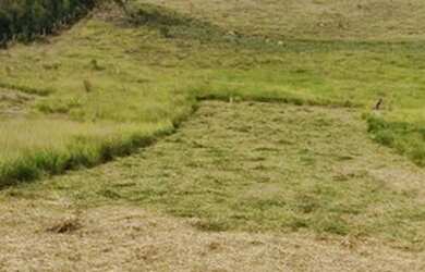 Imagem 12: Investimento certo aqui. 500m² de Área