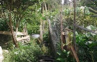 Imagem 9: Terreno para Venda em Planta Meireles Sobrinho Piraquara-PR