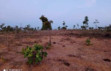 Imagem: A fazenda possui 25m² de Área e está localizado em Presidente