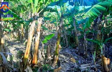 Imagem 9: Chácara escriturada á venda em Imbituba, no bairro Campo da Aviação...