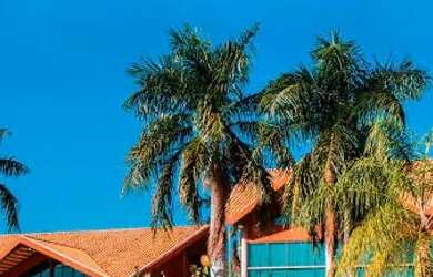 Imagem 3: Lote condomínio Polinésia