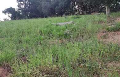 Imagem 11: Lote/Terreno para venda possui 500 metros quadrados em Jardim Brasil -...