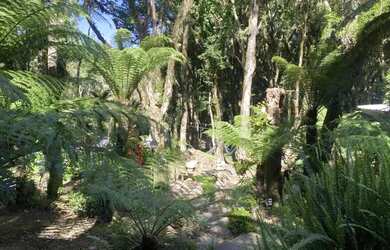 Imagem 16: Casa - Bairro Vila Suiça