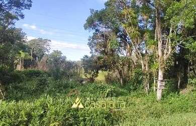 Imagem 6: Terreno 5000 mil metros de frente para Rodovia 407