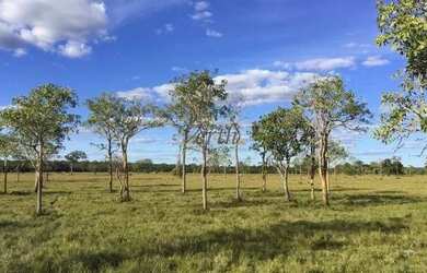 Imagem: A fazenda possui 1016m² de Área e está localizado em Centro