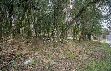 Imagem 4: TERRENO EM EXCELENTE LOCALIZAÇÃO