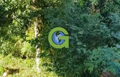 Imagem 14: Ótima casa à venda em Ribeirão, Paulo Lopes