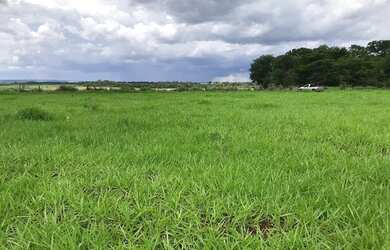 Imagem: A chácara possui 10000m² de Área e está localizado em Santa