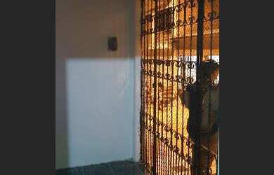 Imagem: A casa possui 3 Dormitórios e 2 Banheiros e está localizado