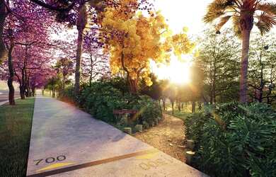 Imagem 9: Lote/Terreno para venda com 1100 metros quadrados em Jardins Itália -...