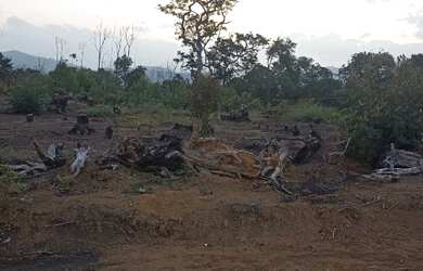 Imagem: O terreno possui 600m² de Área e está localizado em Centro