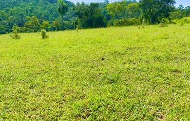 Imagem 2: 32R-Lote/Terreno para venda com 500 metros quadrados em Jardim Brasil...