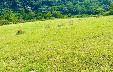 Imagem 7: 32R-Lote/Terreno para venda possui 500 metros quadrados em Jardim Brasil...
