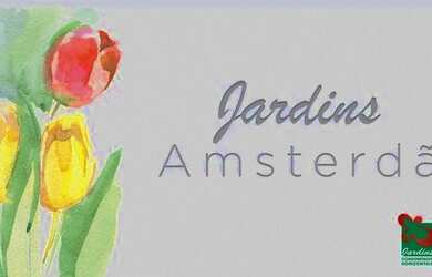 Imagem: O terreno está localizado em Loteamento Portal do Sol Ii, Goiânia