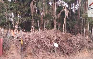 Imagem: O terreno possui 369m² de Área e está localizado em Transurb