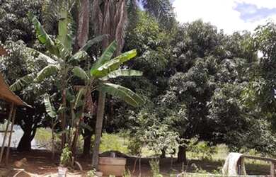 Imagem 3: Lote/Terreno para venda tem 3400 metros quadrados