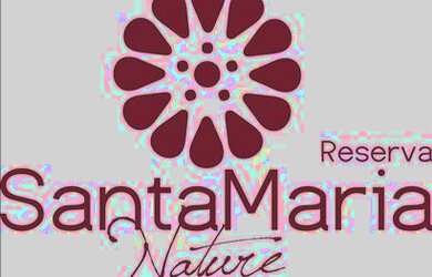 Imagem 3: Reserva Santa Maria Nature - lote com 523 m2