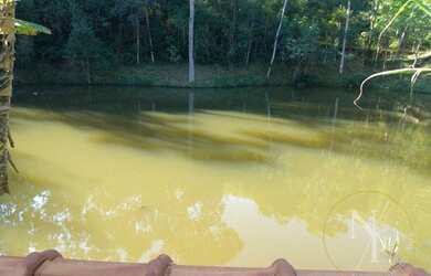 Imagem 10: Nazaré Paulista - Chácara - Municipal dos Ferreiras