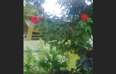 Imagem: A casa possui 4 Dormitórios, 3 Banheiros, 5 Vagas na garagem