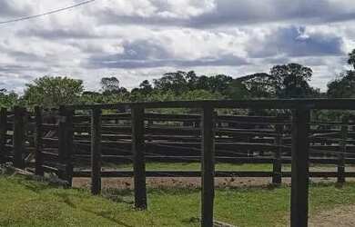 Imagem 2: Vende-se FAZENDA. 