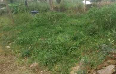 Imagem 11: Racho modesto ha 250 metros do lago Corumbá. Perto de Brasília e Goiânia