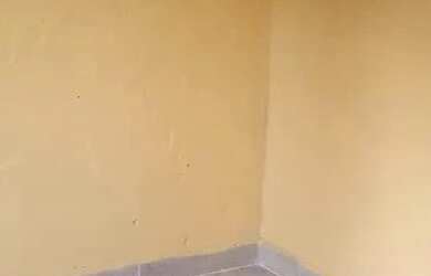 Imagem 6: Alugo 450,00. 50m² de Área, 1 Banheiroe1 Dormitório