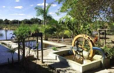 Imagem 6: Fazenda na Chapada Gaúcha em Minas Gerais, à venda com 1.016ha