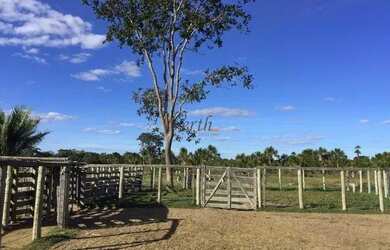 Imagem 11: Fazenda na Chapada Gaúcha em Minas Gerais, à venda com 1.016ha