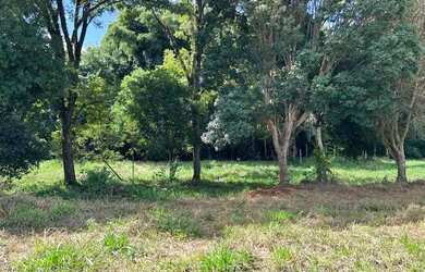 Imagem 11: Linda chácara na área urbana do município de Corbélia!!!