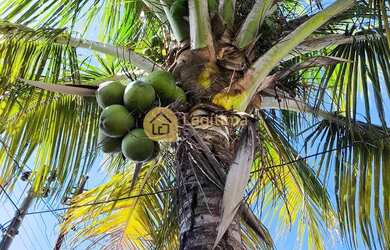 Imagem 11: locação casa setor água Branca Goiânia Goiás