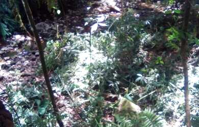 Imagem 7: Area - Bairro Arroio Paixão