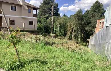 Imagem 3: Terreno - Bairro Carniel. 487m² de Área