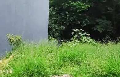 Imagem: O terreno possui 164m² de Área e está localizado em Jardim