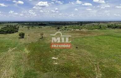 Imagem 9: Fazenda 303 Alqueires 1.469 Hectares Flores De Goiás - Go
