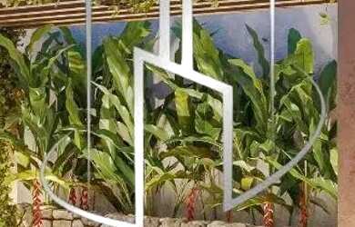 Imagem: A casa possui 3 Dormitórios, 4 Banheiros, 2 Vagas na garagem