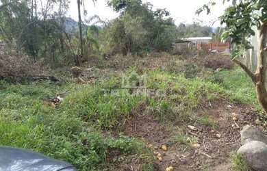 Imagem 8: Terreno em Igrejinha. te222