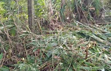 Imagem 6: Terreno em Igrejinha. te222