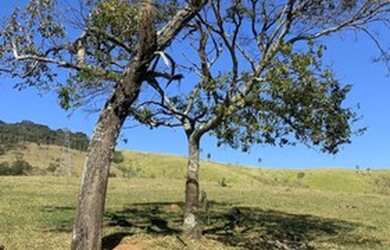 Imagem 6: R28 - Somente este final de semana lotes de 500m² por 50 mil