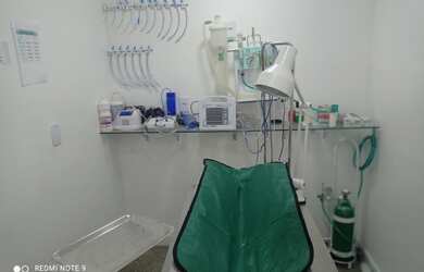 Imagem 4: Vendo clínica veterinária