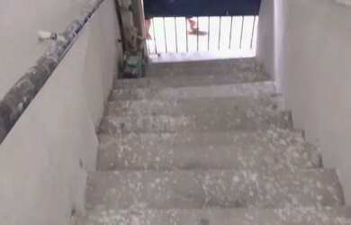 Imagem: A casa possui 3 Dormitórios, 2 Banheiros e está localizado