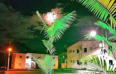 Imagem 2: ALUGO APARTAMENTO VERONA. 1 Vaga na garageme2 Dormitórios