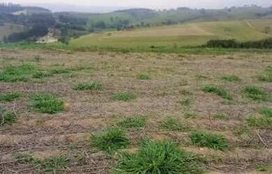 Imagem 14: 48AN-1SFMDU0 Terreno / lote com venda por R$90.000