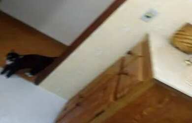 Imagem 12: Praia Grande - Comercial - Imperador