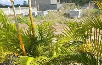 Imagem 7: Terreno em condomínio fechado na ilha de Guaratiba, aceito trocas