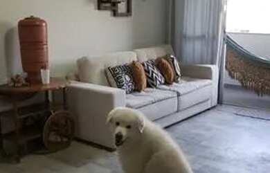 Imagem: O apartamento possui 3 Dormitórios, 3 Banheiros, 2 Vagas na